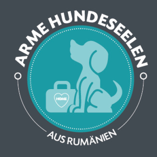 Arme Hundeseelen aus Bulgarien